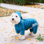 Mabawa medium dog raincoat being worn by a pet during an outdoor walk