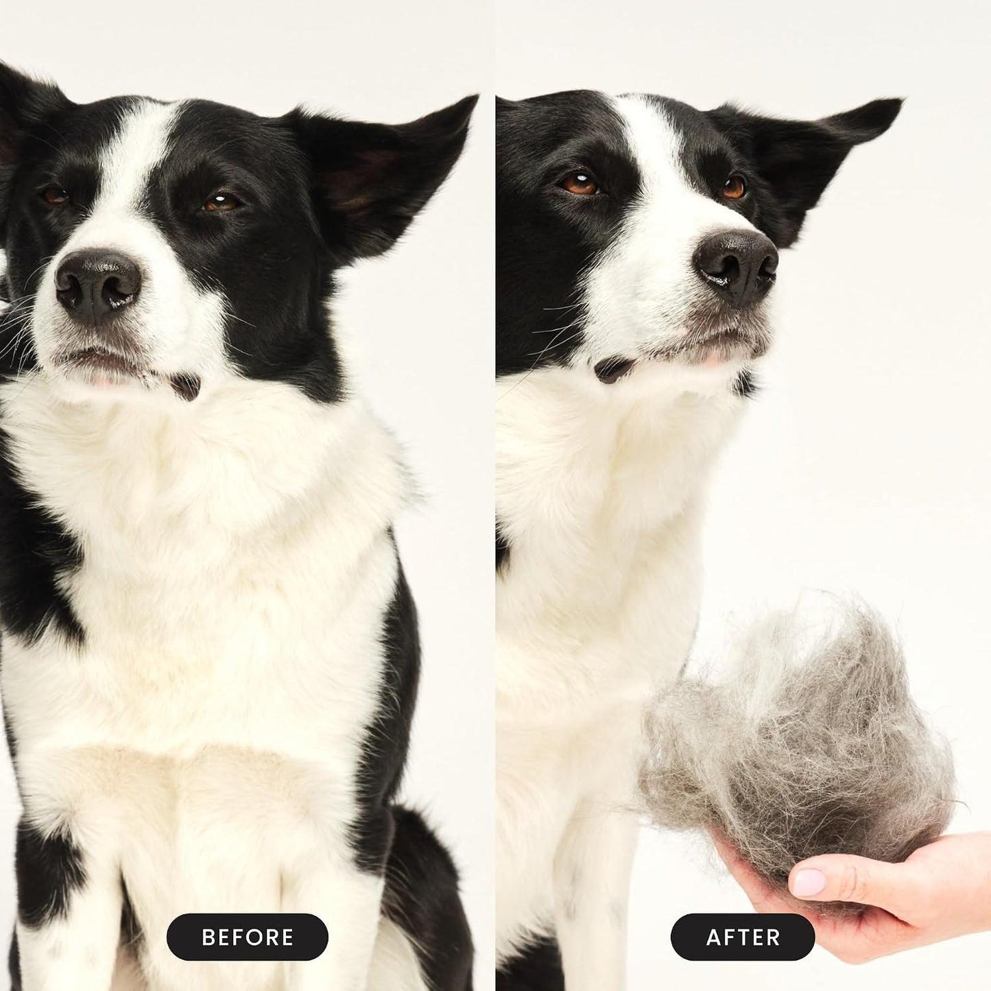 Waterproof dog bath brush for wet and dry fur grooming