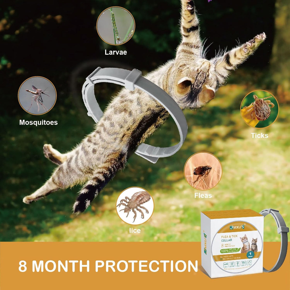 Cat wearing Baravi natural flea and tick collar