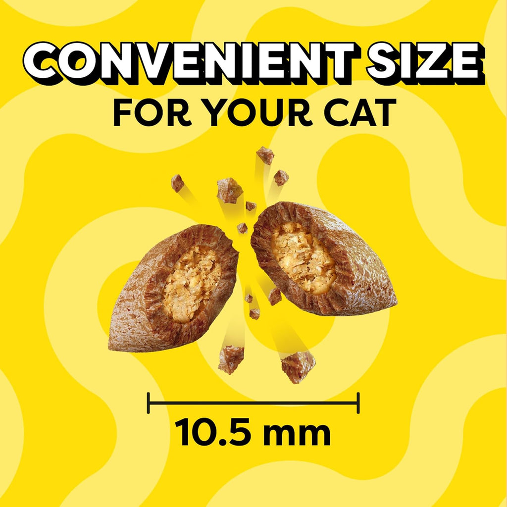 Temptations Cat Treats Classic Crunchy and Soft Cat Treats, Savory Salmon Flavor, 16 oz. Tub - Image 9
