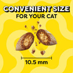 Temptations Cat Treats Classic Crunchy and Soft Cat Treats, Savory Salmon Flavor, 16 oz. Tub - Image 9