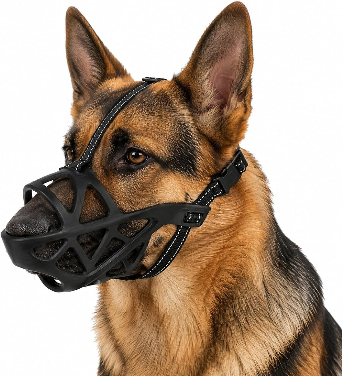LH NTGR soft elastic dog muzzle front view