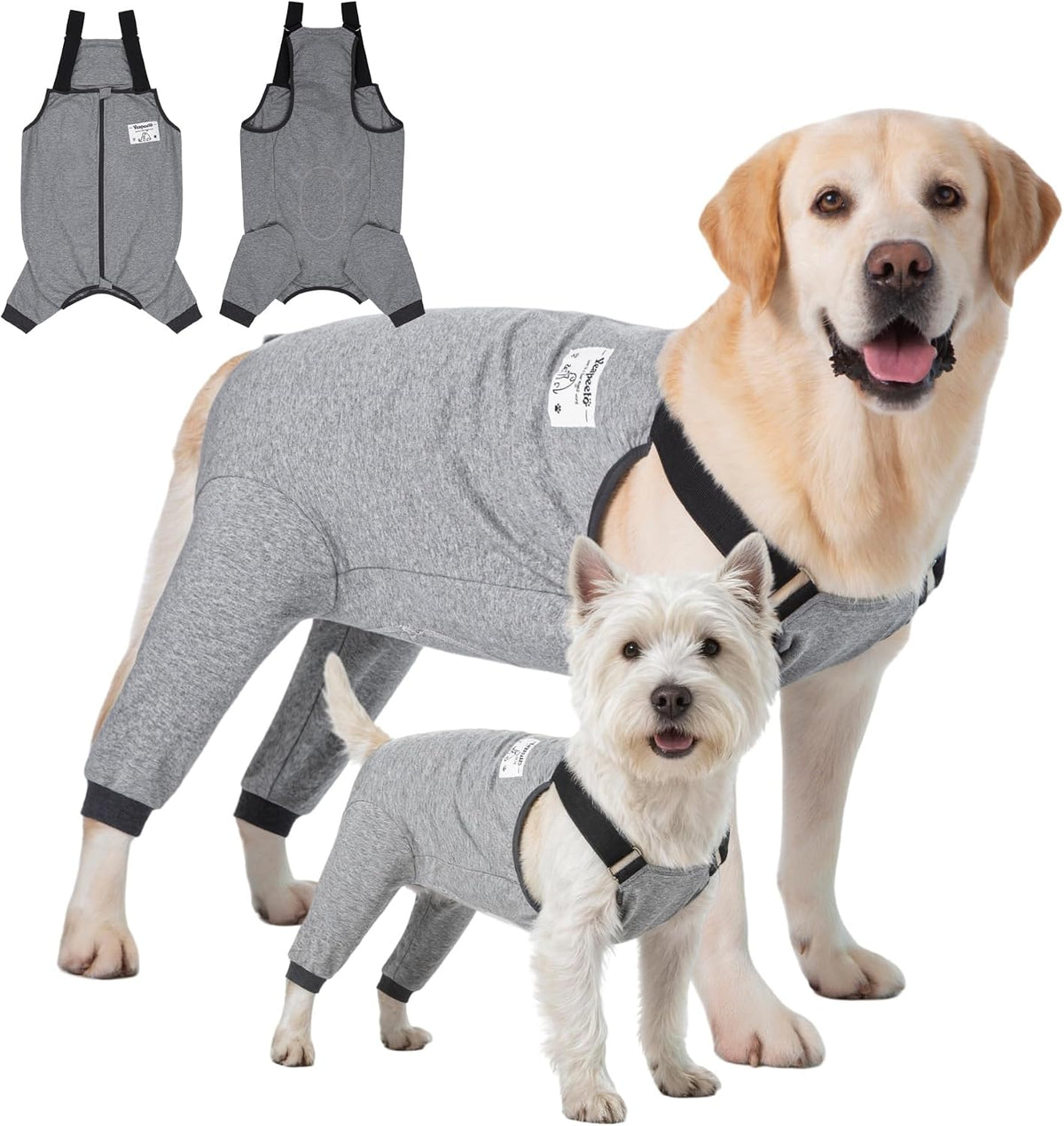 Large dog wearing size 5XL Yeapeeto recovery suit for post-operative comfort.