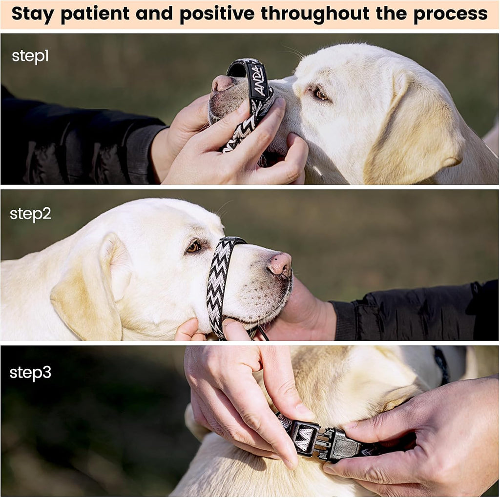ANDA gentle leader training headcollar packaging and components for long snouted dogs.