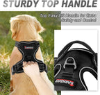 Barkbay harness back leash attachment point detail