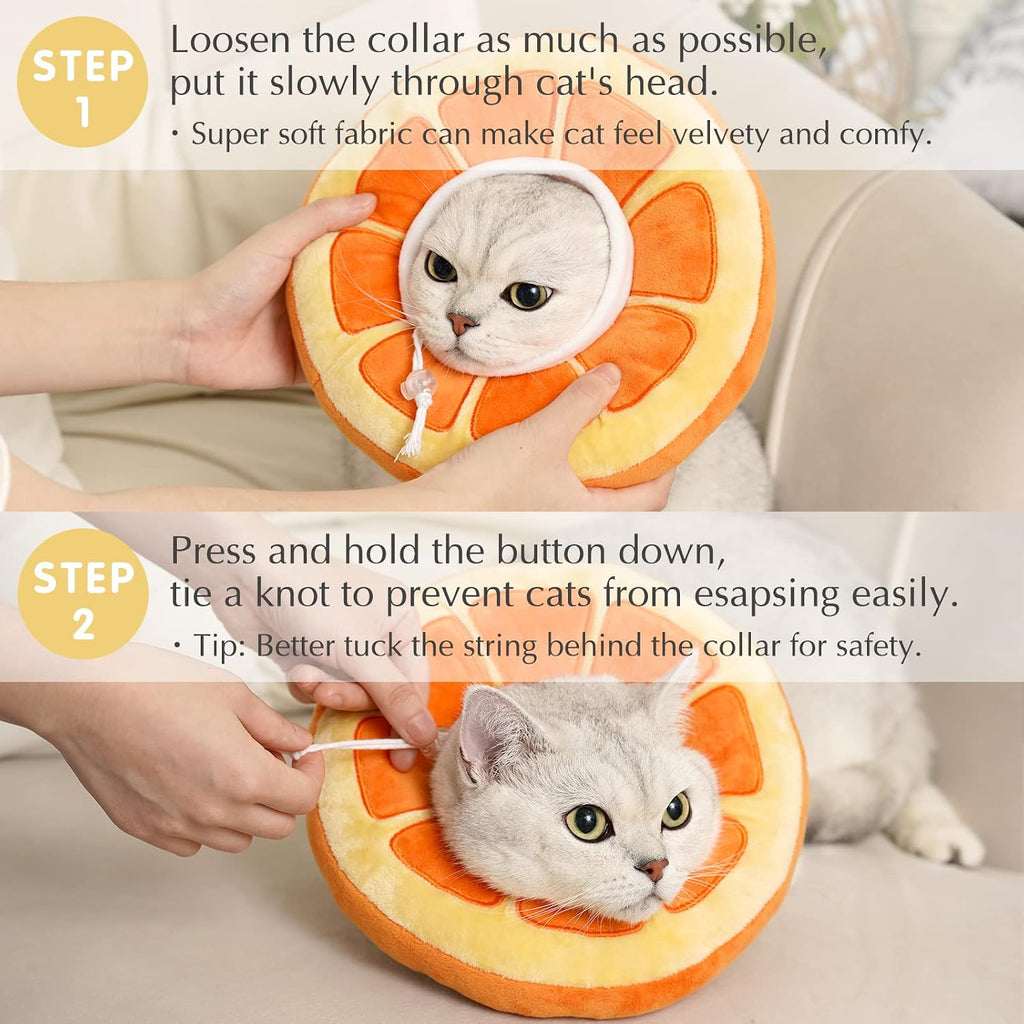 Demonstration of lightweight design for unblocked vision in cats
