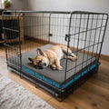 Ylymence custom dog crate pad front view