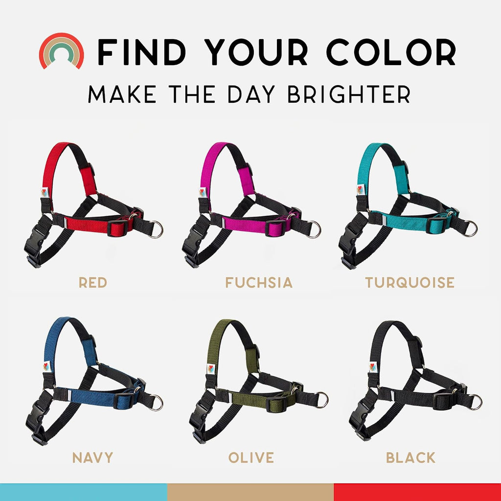 Back view of Wildebeest dog harness strap construction