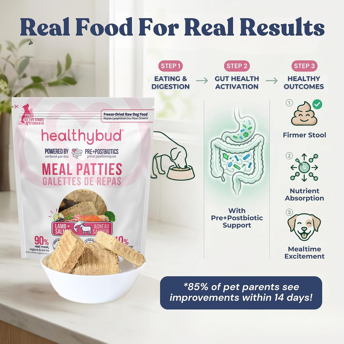 Healthybud dog food patties showing high protein ingredient quality