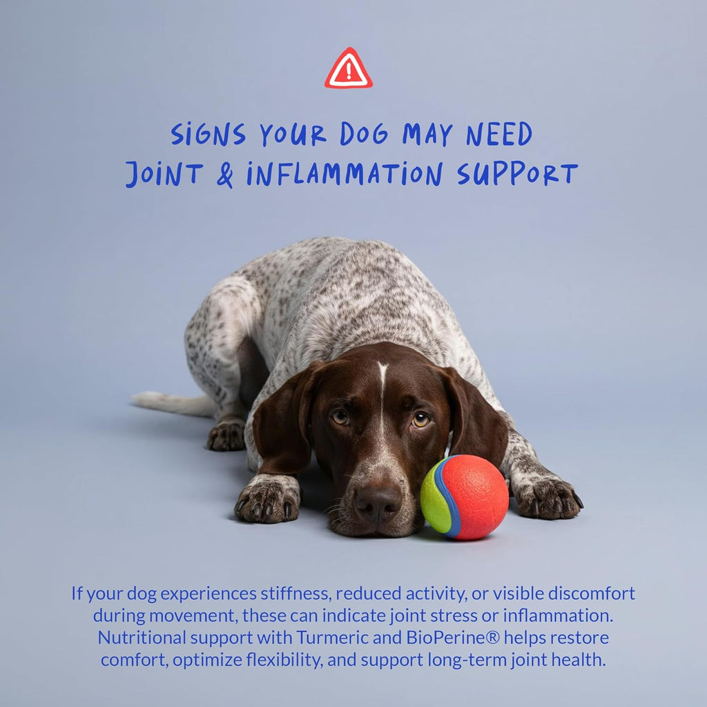 Bacon and liver flavored chewable dog mobility tablets label details and daily benefits