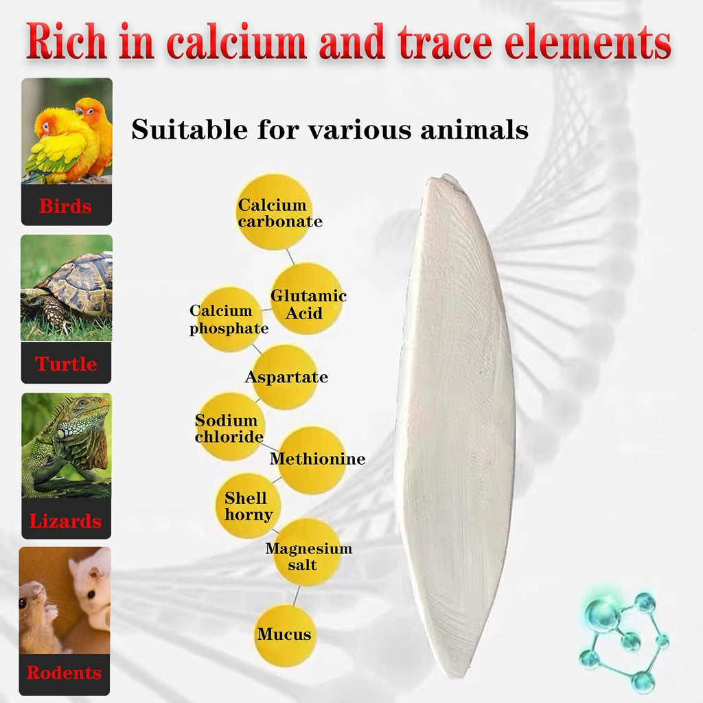 4.7-5.1'' Cuttlebone for Parakeets Cuttlebone for Birds - Natural Cuttlefish Bone Bulk Chew Toy Bird Bites Calcium Stone for Canaries Tortoises,Snails,Reptiles,Parrots,Cockatiel-20PCS - Image 5
