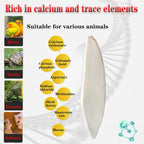 4.7-5.1'' Cuttlebone for Parakeets Cuttlebone for Birds - Natural Cuttlefish Bone Bulk Chew Toy Bird Bites Calcium Stone for Canaries Tortoises,Snails,Reptiles,Parrots,Cockatiel-20PCS - Image 5