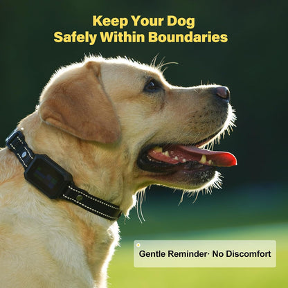 Waterproof electronic dog training collar package with charging cable and contact points.