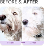 Lillian Ruff tear free grooming set for sensitive skin