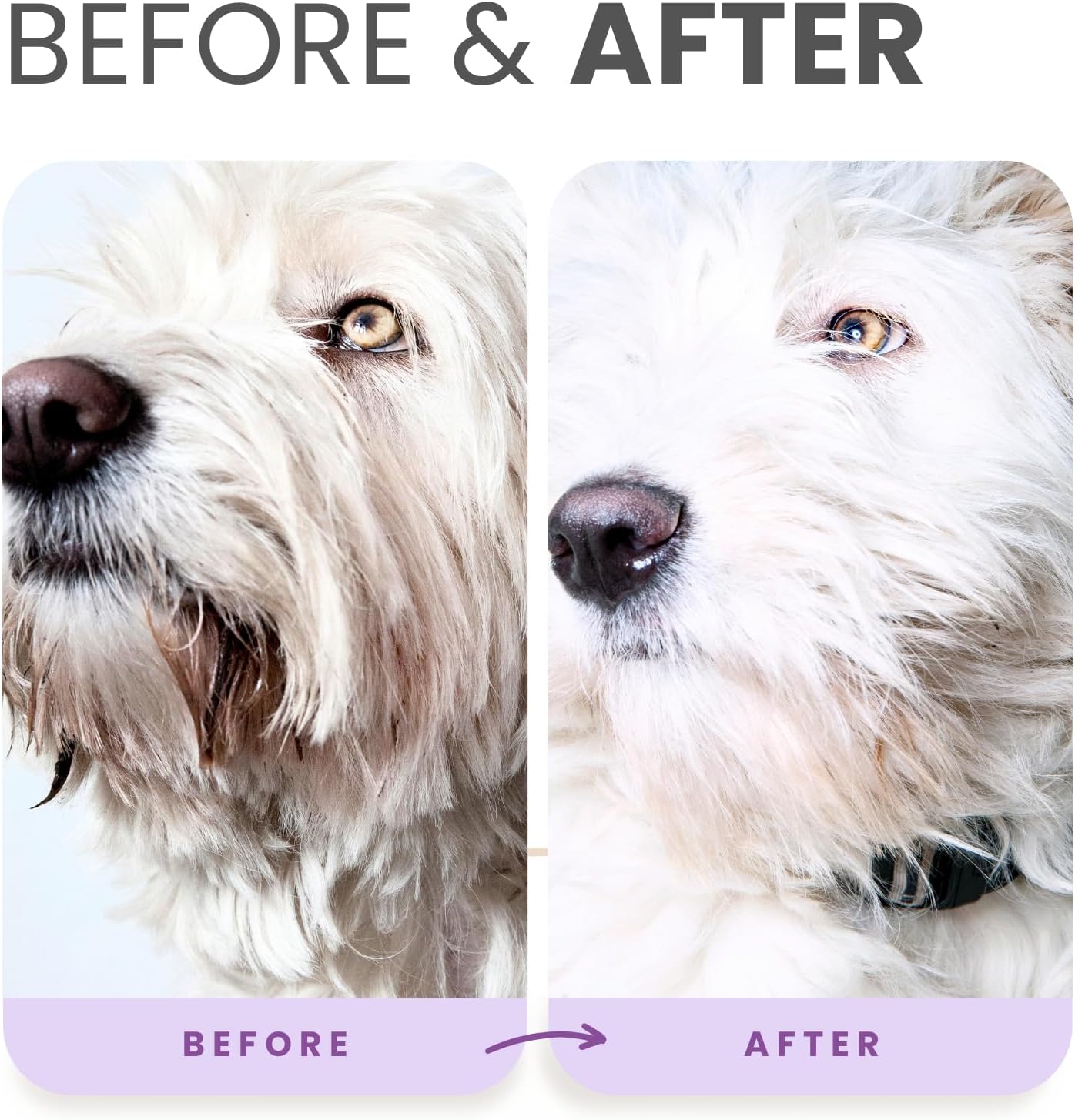 Lillian Ruff pet grooming shampoo for stain removal and odor control
