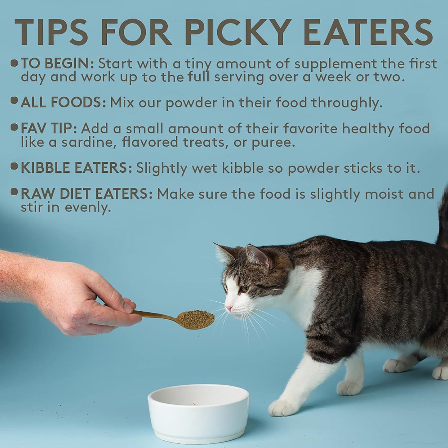 Cat eating food with The Missing Link Pet Kelp powder sprinkled on top