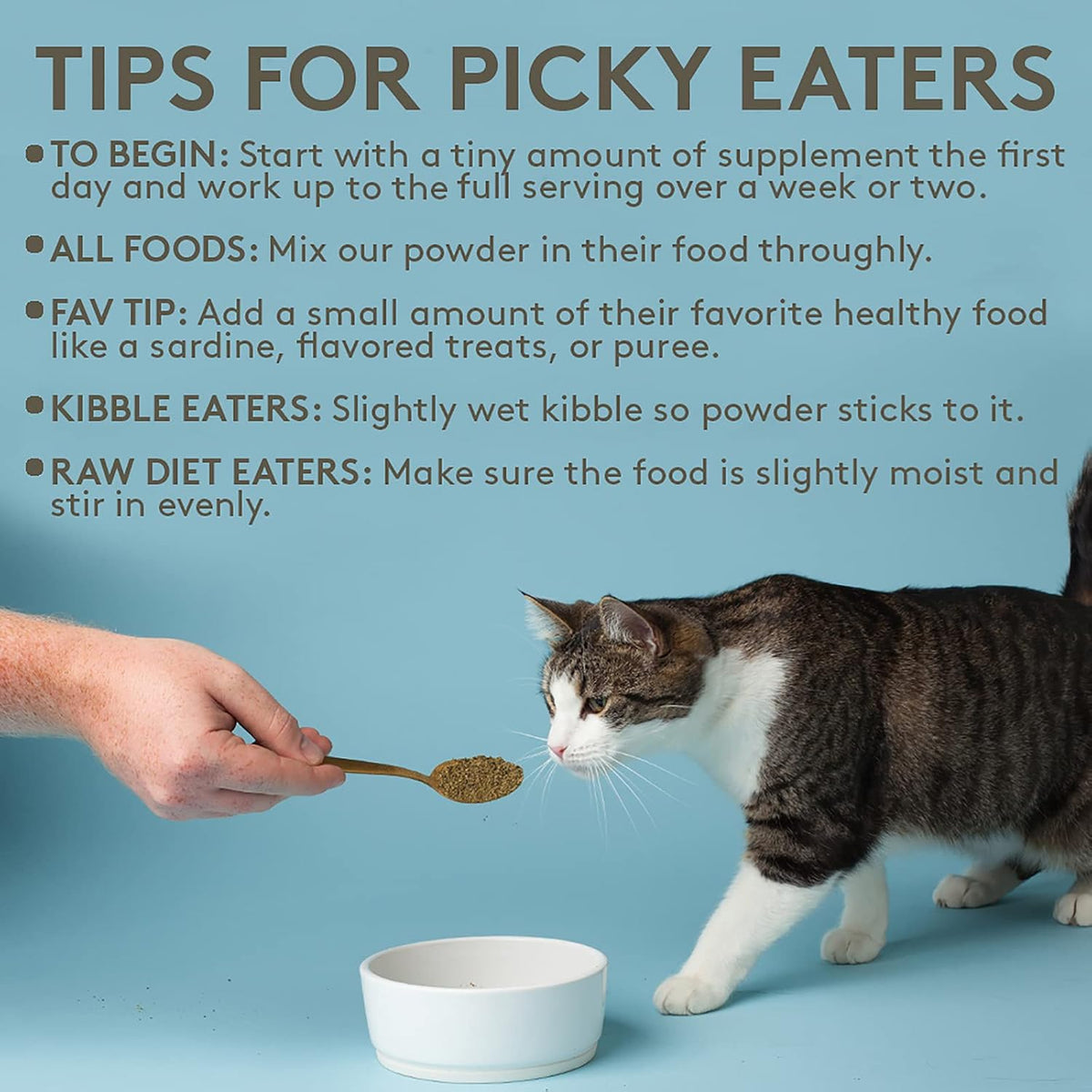 Happy cat eating food sprinkled with kelp superfood powder