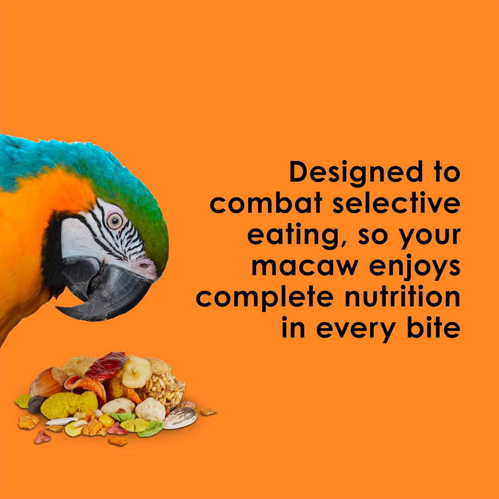 Healthy macaw eating Kaytee Fiesta gourmet seed mix from a bowl