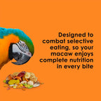 Healthy macaw eating Kaytee Fiesta gourmet seed mix from a bowl