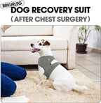 Brkurleg XXL dog recovery suit on large breed dog