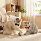 ECNHIVE plush pet bowtie neck belt showing skin friendly material details up close