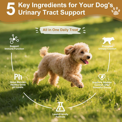 Petnanny dog and cat bladder support soft chews nutritional facts label