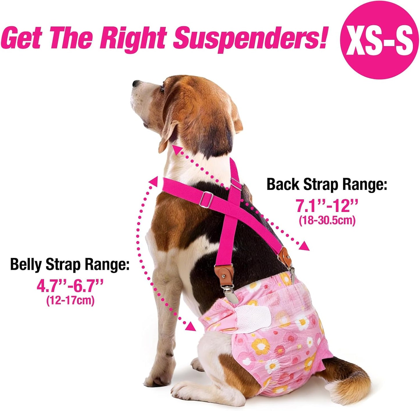 No choke three webbing pet suspender harness close up detail