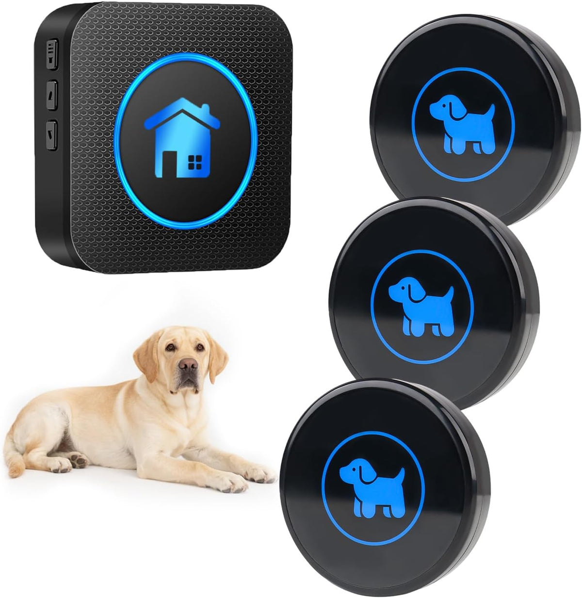 Dog Door Bell 2026 Enhanced Touch, Wireless Doggie Doorbell for Potty Training to Go Outside, IP65 Waterproof, 1000ft Range, 55 Melodies, 5 Modes & Adjustable Volume (2 Buttons) - Image 12