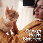 Fera Pets cardiac support gel box and tube