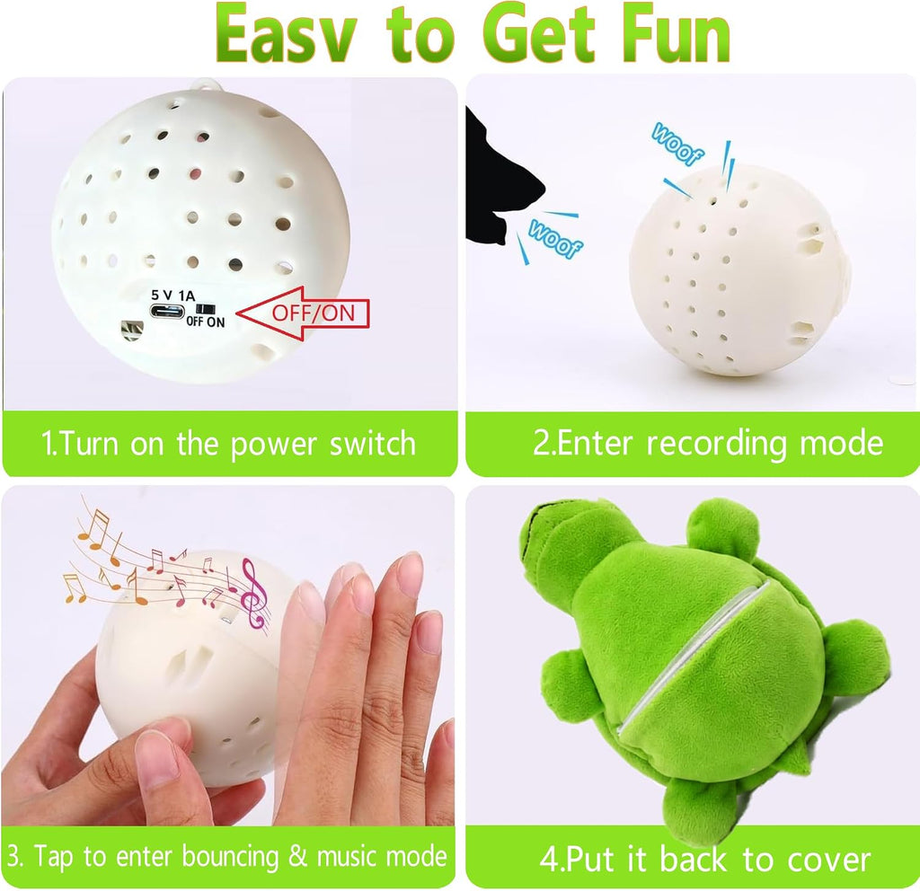 USA imported interactive pet companion toy packaged for delivery in India