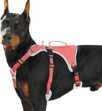 Huntboo Escape Proof Dog Harness, Escape Artist Harness, Reflective Dog Harness with Handle, Durable,Adjustable Vest for Small Medium Large Dogs Walking, Training, and Running Gear(Technicolor Blue,S) - Image 15