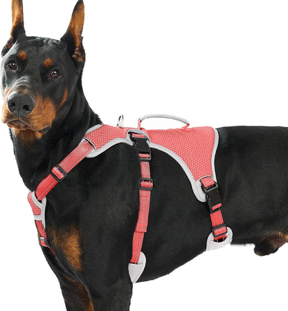 Huntboo Escape Proof Dog Harness, Escape Artist Harness, Reflective Dog Harness with Handle, Durable,Adjustable Vest for Small Medium Large Dogs Walking, Training, and Running Gear(Technicolor Blue,S) - Image 15