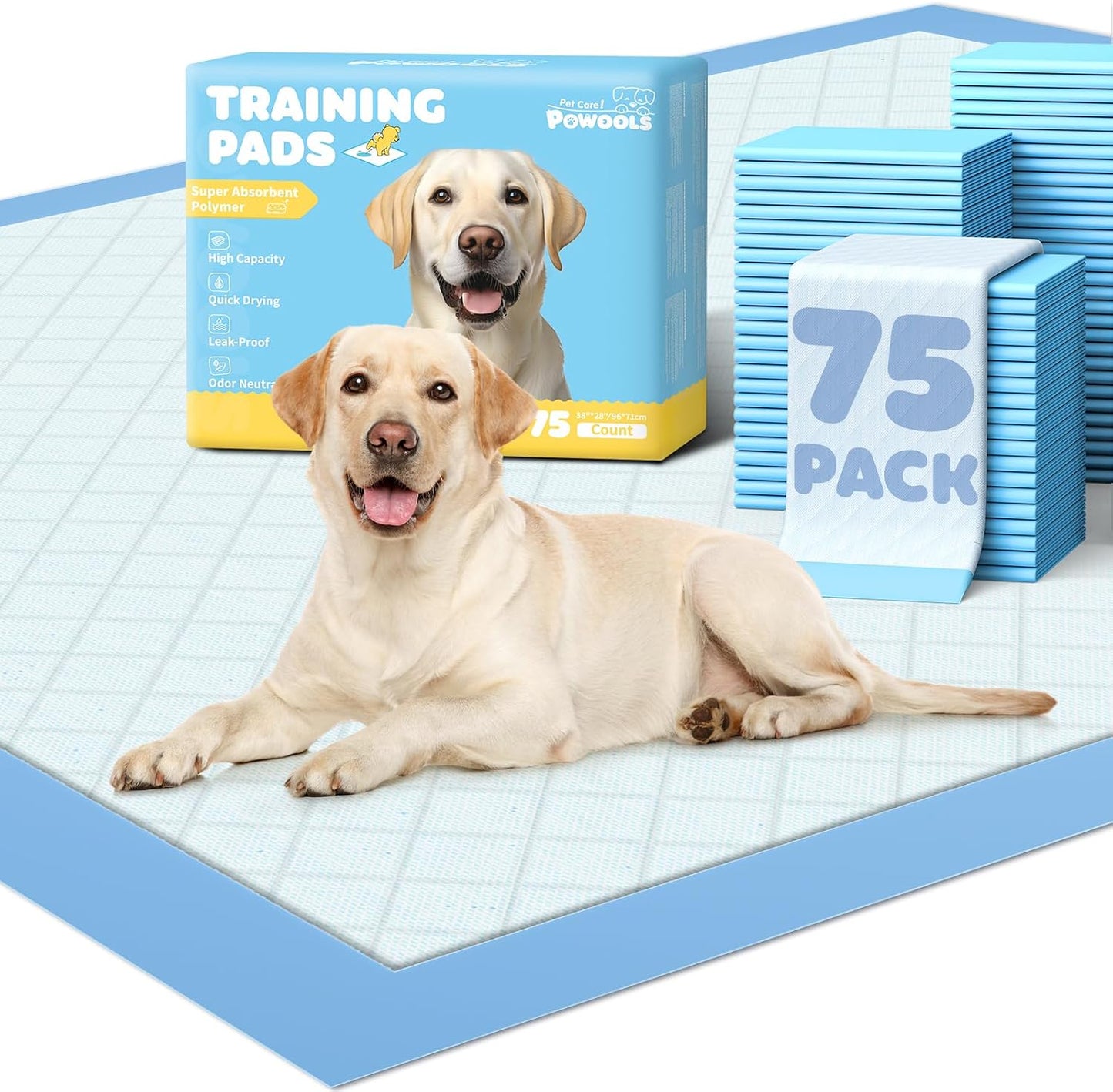 Powools authentic USA imported dog training pads for house potty training.