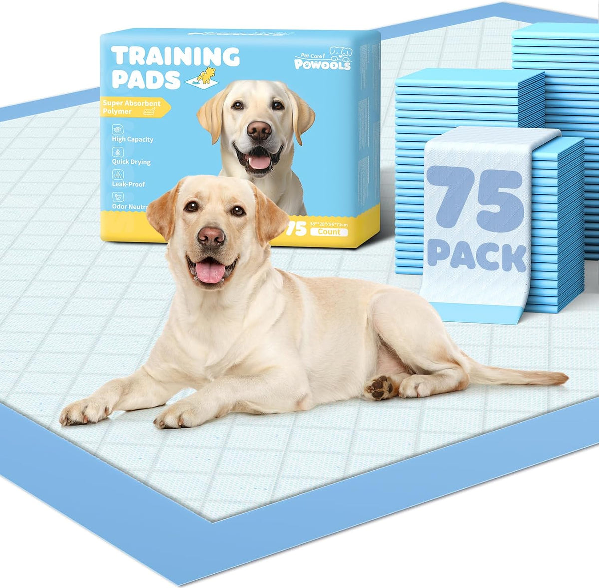 Powools authentic USA imported dog training pads for house potty training.