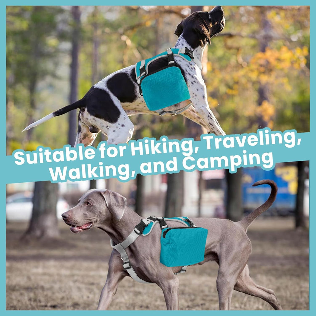 Rear view of the blue tactical pet carrier vest highlighting the secure leash attachment point