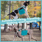 Rear view of the blue tactical pet carrier vest highlighting the secure leash attachment point