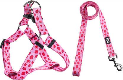 QQPETS Dog Harness Leash Set Adjustable Heavy Duty No Pull Halter Harnesses for Small Medium Large Breed Dogs Back Clip Anti-Twist Perfect for Walking - Image 15