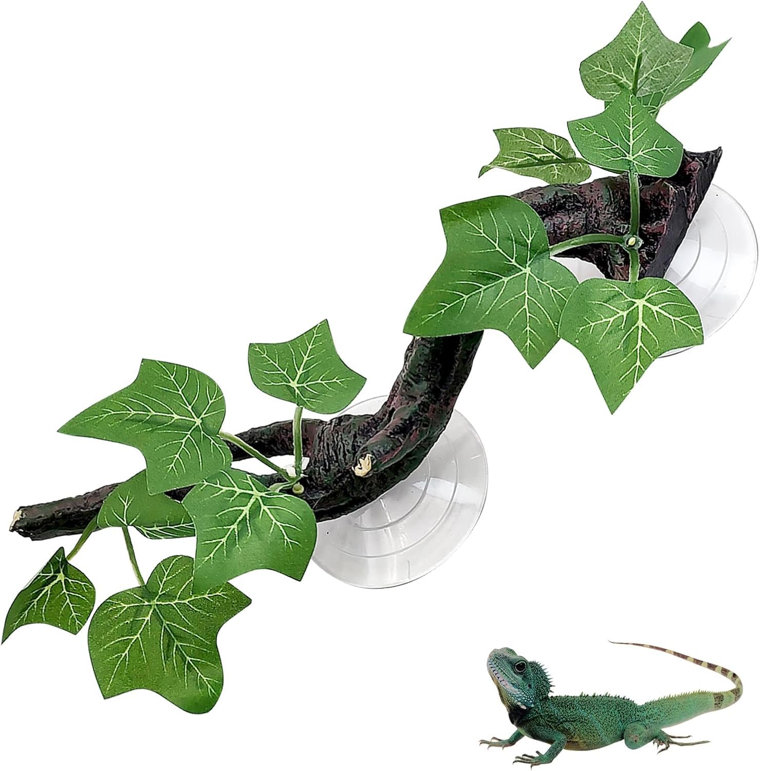 PINVNBY reptile corner branch front view with leaves