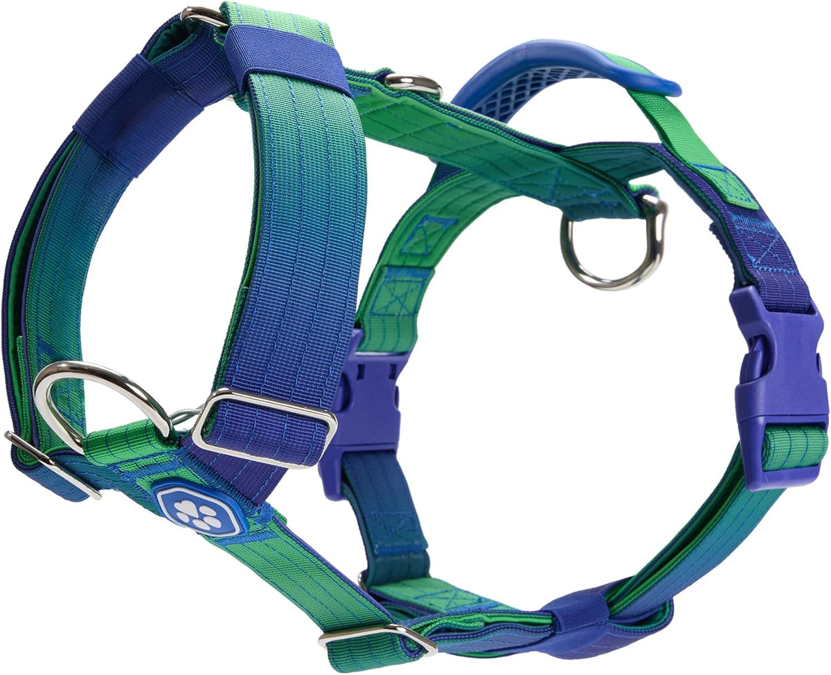 Spark Paws No Pull Dog Harness with Handle for Large Dogs, Heavy Duty Dog Harness for Big Strong Breeds, Adjustable, Y Shaped Padded Halter Design with Front Clip - 90s Retro - M - Image 11