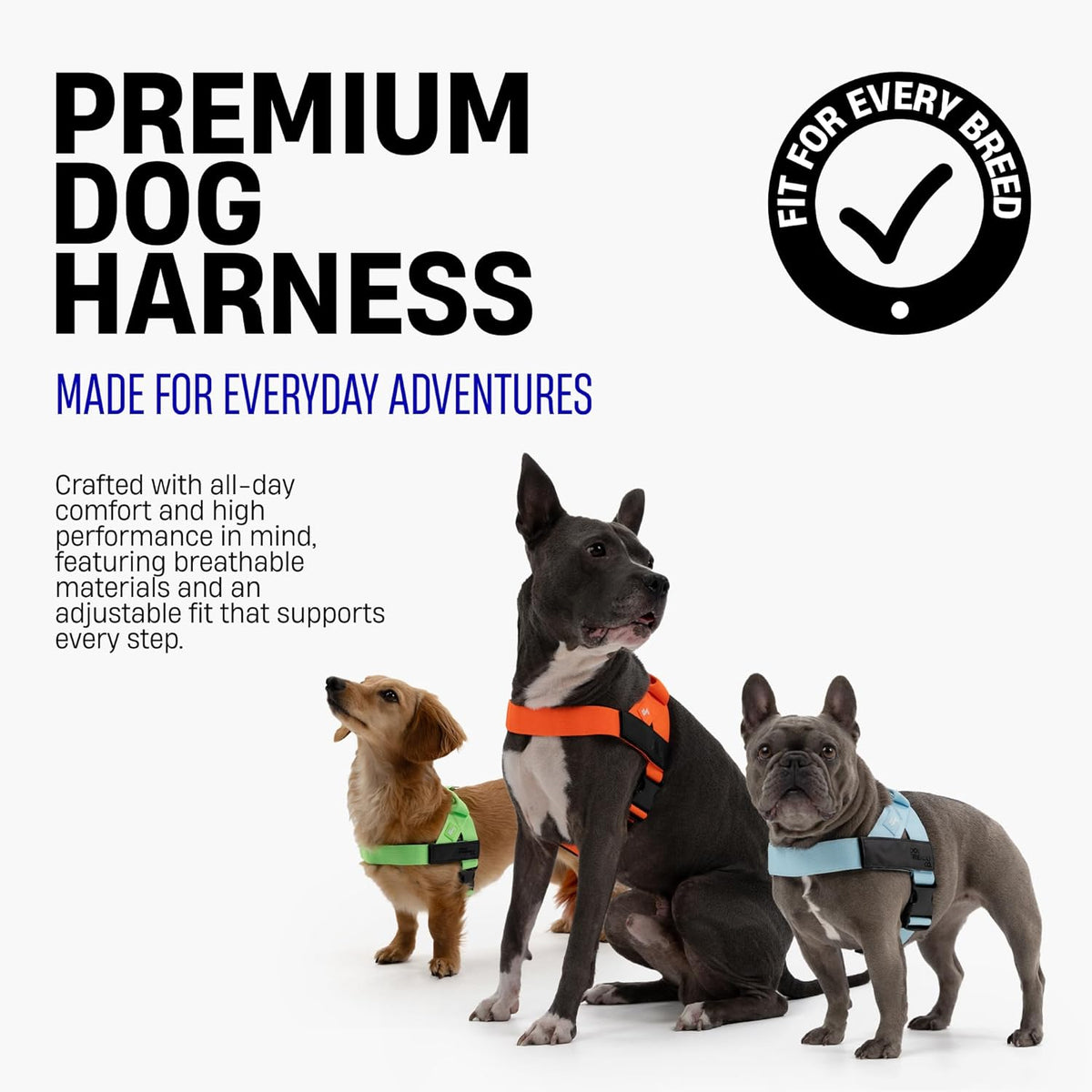 Dog Friendly Co adjustable pet harness pink close up of chafe resistant webbing
