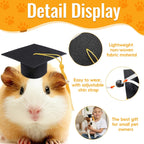 Adjustable elastic chin strap on pet graduation cap