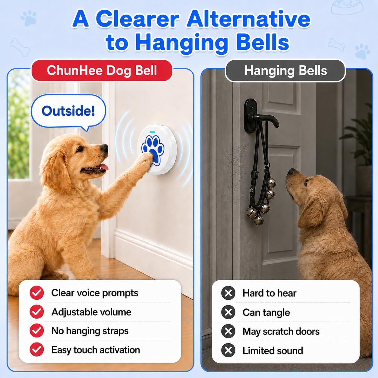 Dog pressing ChunHee training bell button