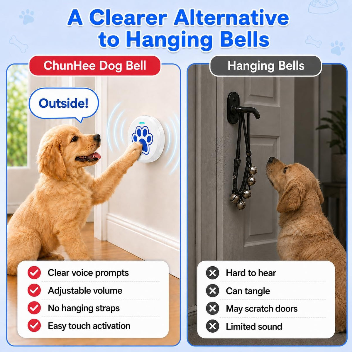 Dog pressing ChunHee training bell button