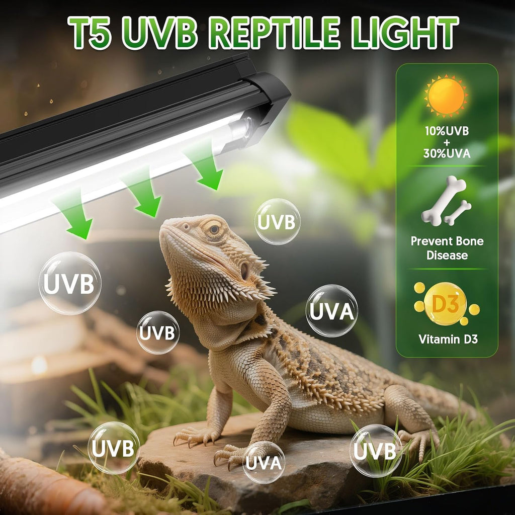 QZQ 8 Watt reptile terrarium hood featuring the polished curved alloy reflector.