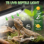 QZQ 8 Watt reptile terrarium hood featuring the polished curved alloy reflector.