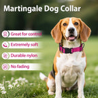 Reflective safety threads on Erbine padded dog collar.