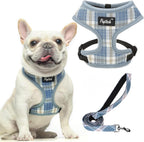 PUPTECK Soft Mesh Dog Harness Small Sized and Leash Set Pet Puppy Cat Comfort Padded Vest No Pull Harnesses, Beige, S - Image 9