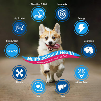 Scoop of Nature Target dog vitamin powder with chicken flavor