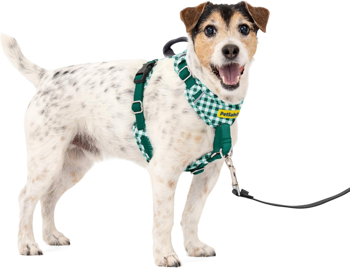 PetSafe Easy Walk Comfort No-Pull Dog Harness Full-Body Padding - Better Walks on the First Use - 5 Points of Adjustment Medium, Blue - Image 14