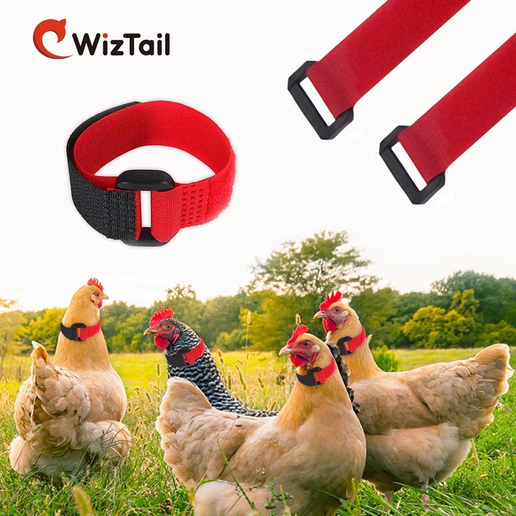 Lyla adjustable poultry collar package detailing the twin color variant options